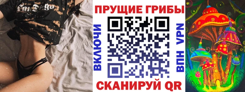 это как зайти Североморск Псилоцибиновые грибы мицелий купить наркотики сайты