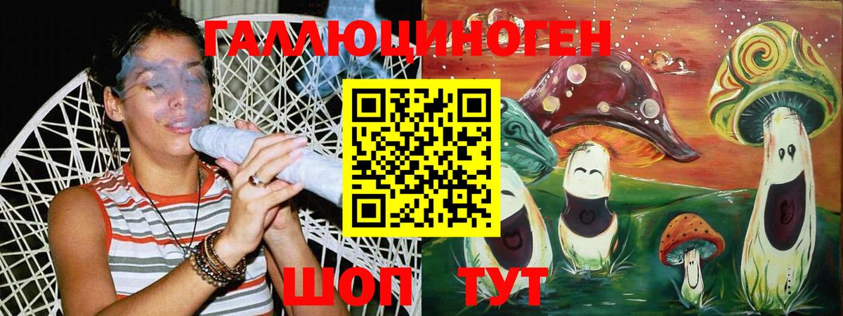 Североморск  Псилоцибиновые грибы Magic Shrooms  даркнет сайт  Вход с VPN 